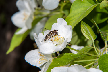 Similar image 6280596