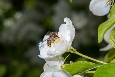 Similar image 6280608