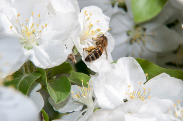 Similar image 6280609