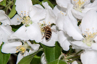 Similar image 6280610