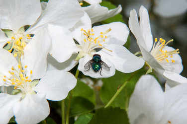 Similar image 6280612