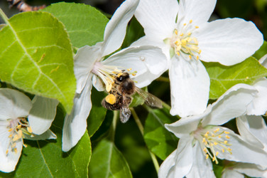 Similar image 6280614