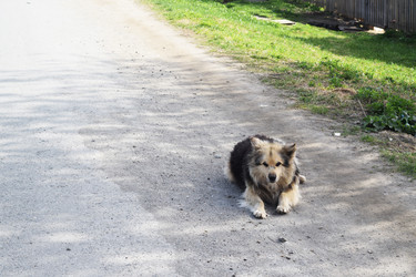 Similar image 6280642