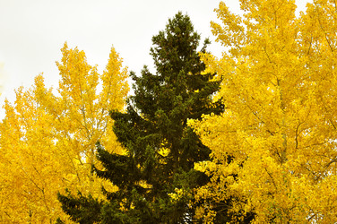 Similar image 6280820