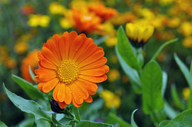 Similar image 6280844