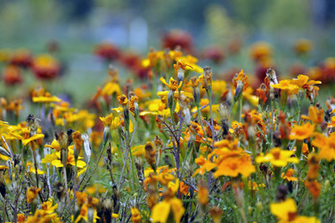 Similar image 6280854