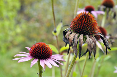 Similar image 6280856