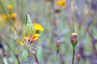 Similar image 6280858