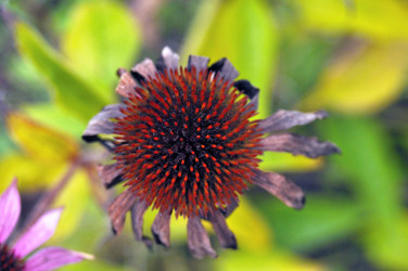 Similar image 6280861