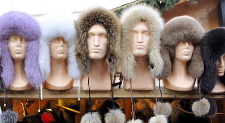 Similar image 6280902