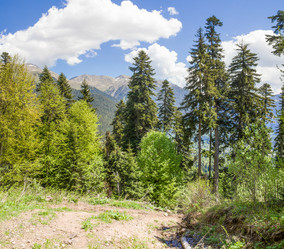 Similar image 6281523