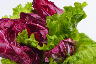 Similar image 6281833