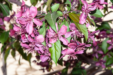 Similar image 6281883