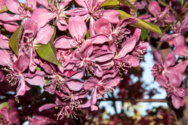 Similar image 6281884