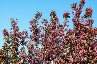 Similar image 6281888