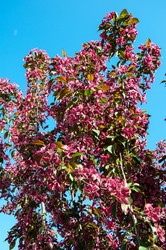 Similar image 6281892