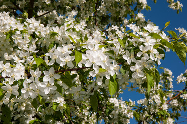 Similar image 6281955