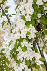 Similar image 6281956