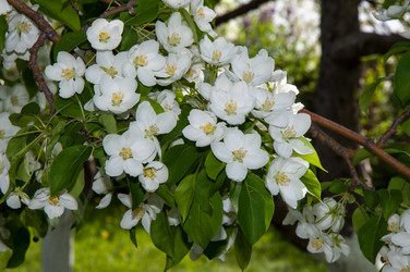 Similar image 6281958