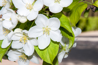 Similar image 6281960