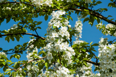 Similar image 6281961