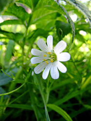 Similar image 6281980