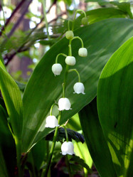 Similar image 6281981