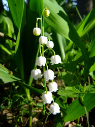 Similar image 6281982