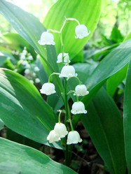 Similar image 6281984