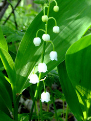 Similar image 6281986