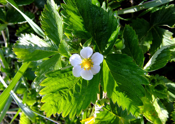 Similar image 6281987