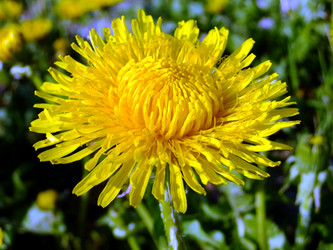 Similar image 6281988