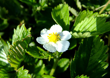 Similar image 6281989