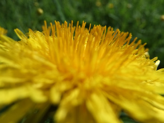 Similar image 6281997