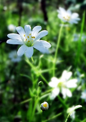 Similar image 6281998