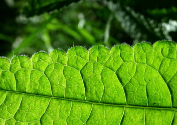 Similar image 6281999