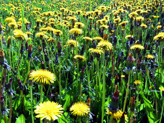 Similar image 6282001