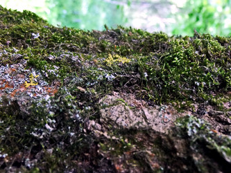 Similar image 6282002