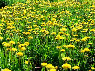 Similar image 6282003