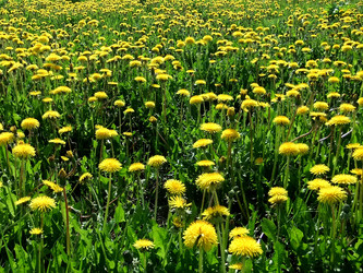 Similar image 6282004