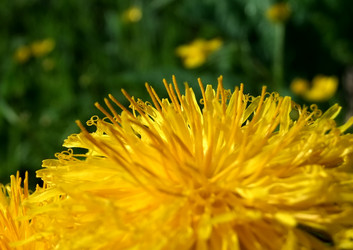 Similar image 6282005