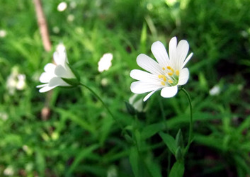 Similar image 6282008