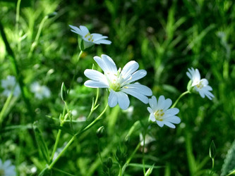 Similar image 6282009