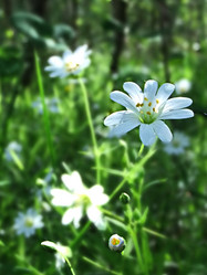 Similar image 6282011