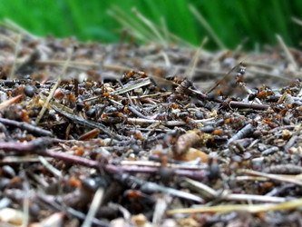 Similar image 6282013