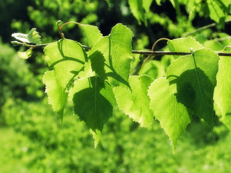 Similar image 6282026