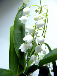 Similar image 6282031