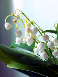 Similar image 6282032