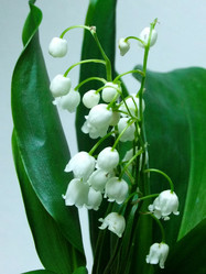 Similar image 6282034