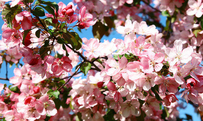 Similar image 6282116